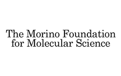 The Morino Foundation for Molecular Science